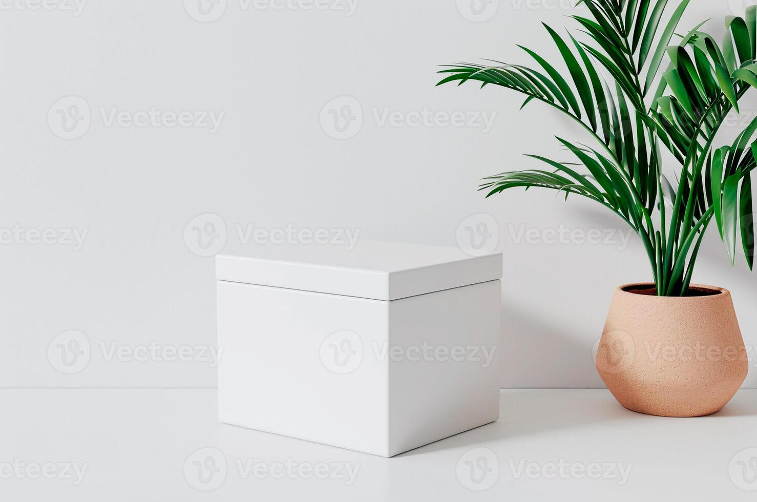 Mockup white box cube, potted palm tree photo