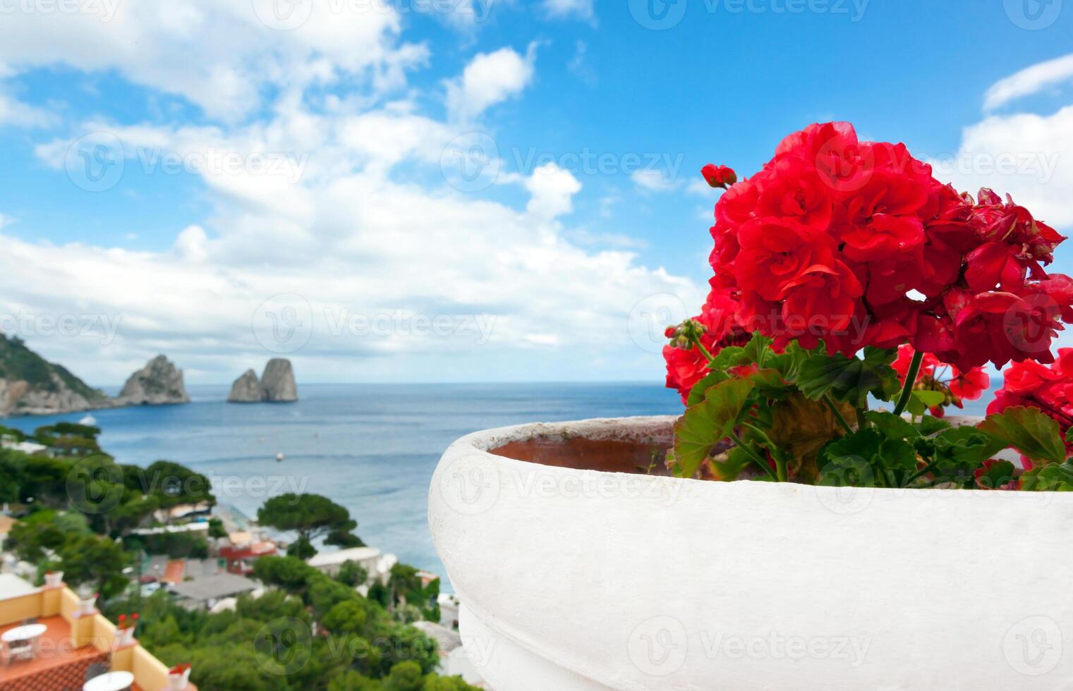 Red geraniums with Faraglioni in background, Capri island. photo