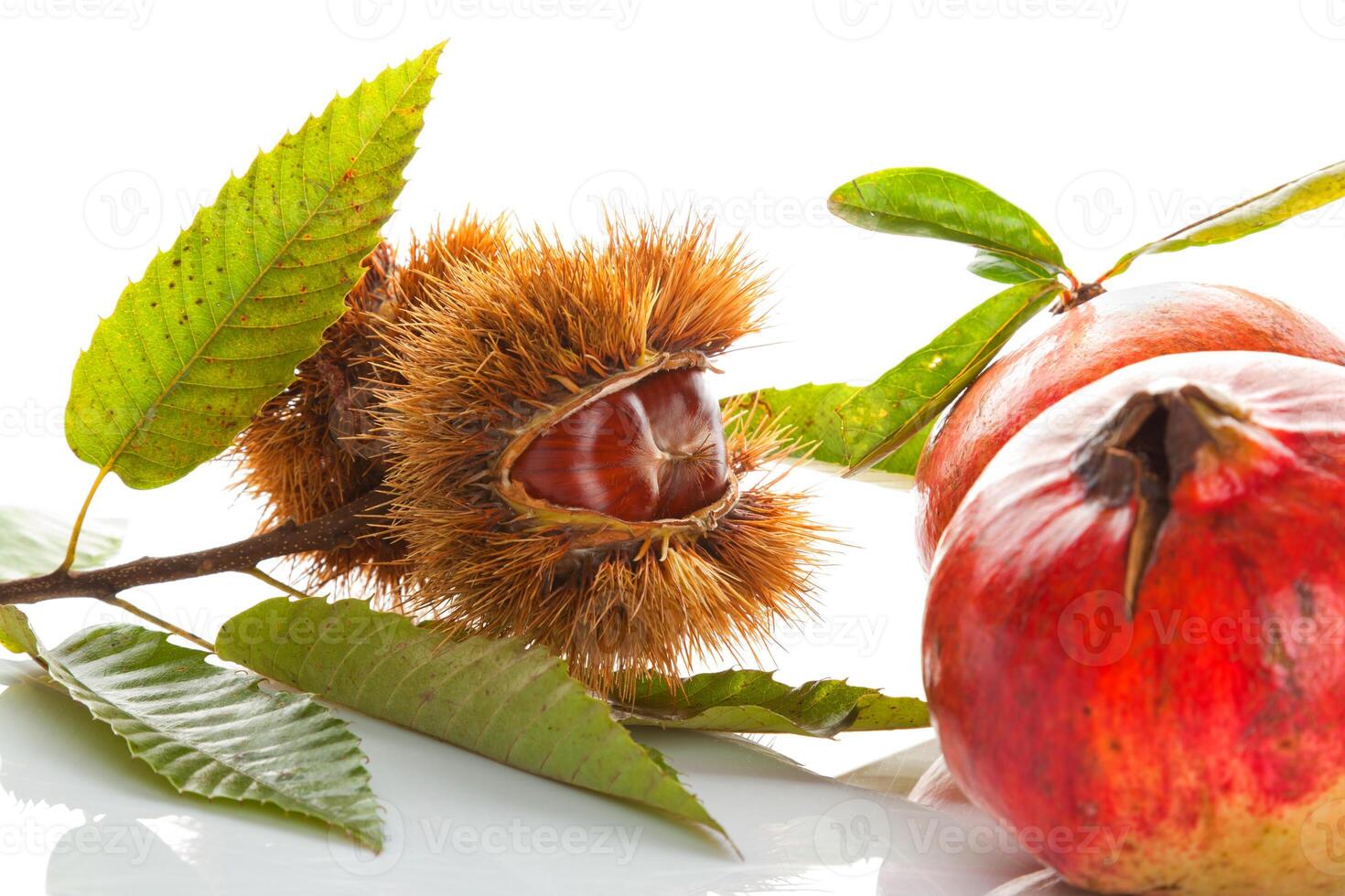 Chestnuts with pomegranate photo