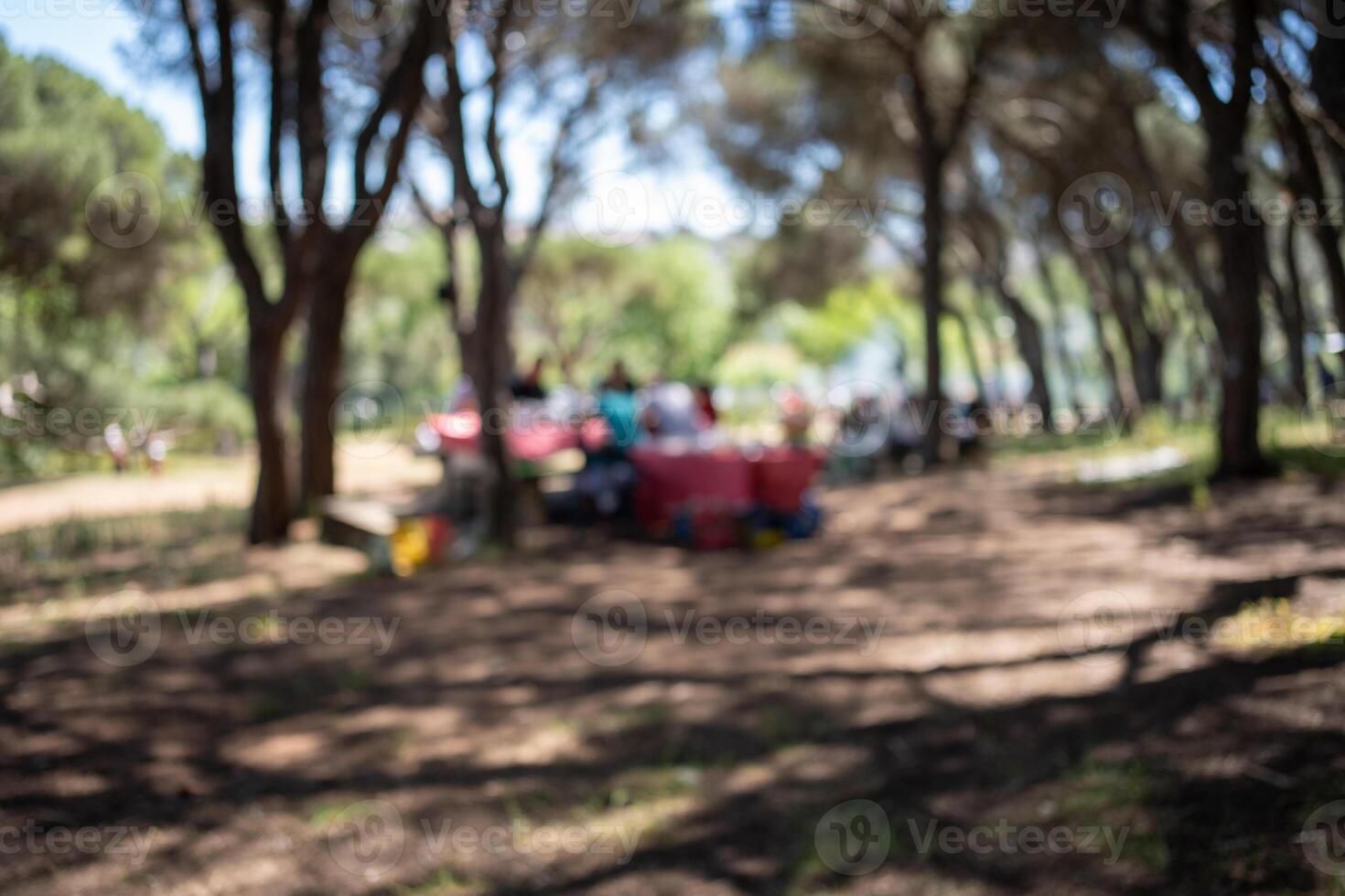Blurred shot people enjoying picnic in park photo