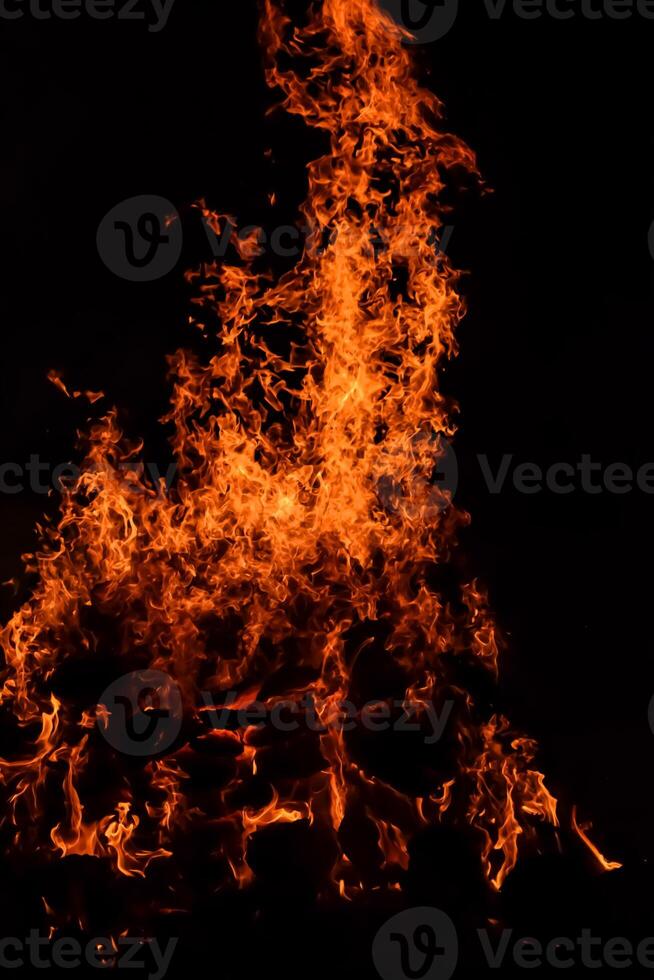 Fire flames on black background, Blaze fire flame texture background, Beautifully, the fire is burning, Fire flames with wood and cow dung bonfire photo