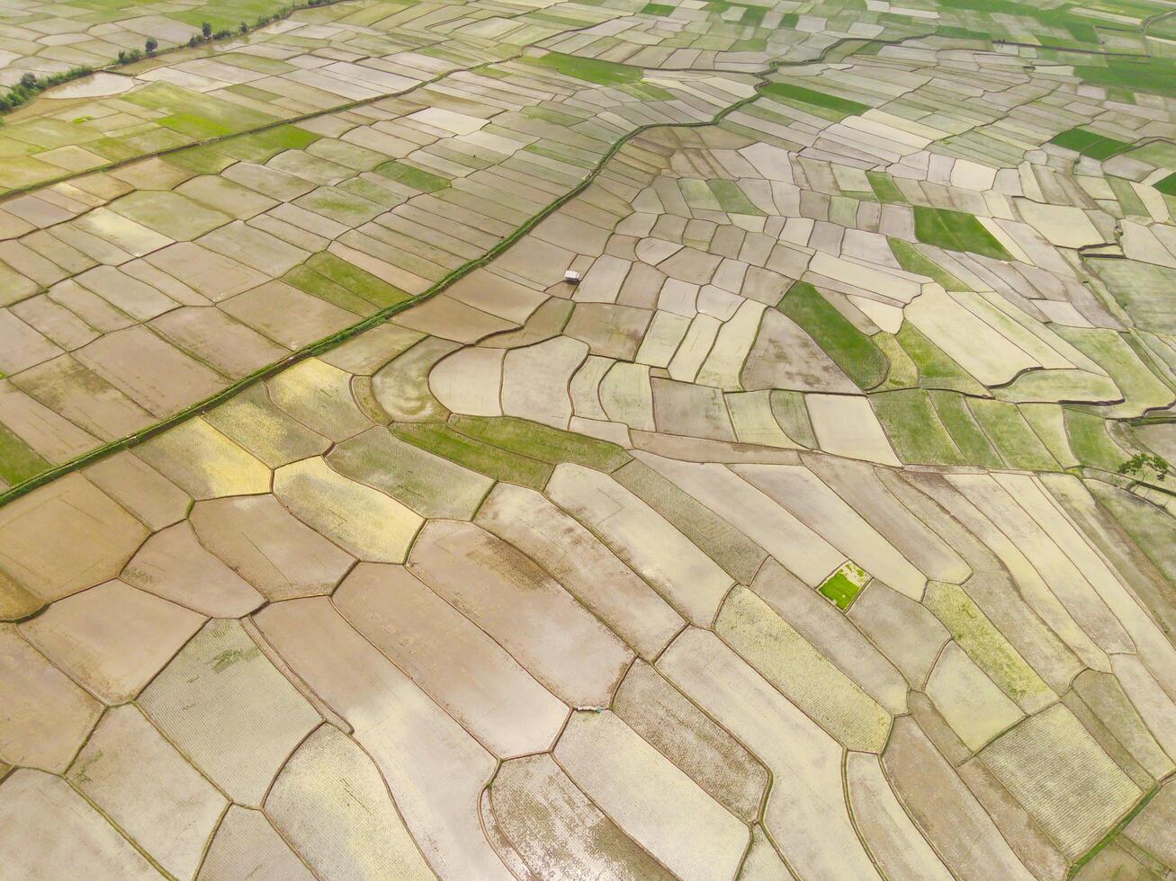 Cikancung rice terraces. Abstract and geometric aerial drone view of Agriculture fields. View from above, tropical green background. Above. Agriculture Industry. Shot from drone flying 100 meters photo