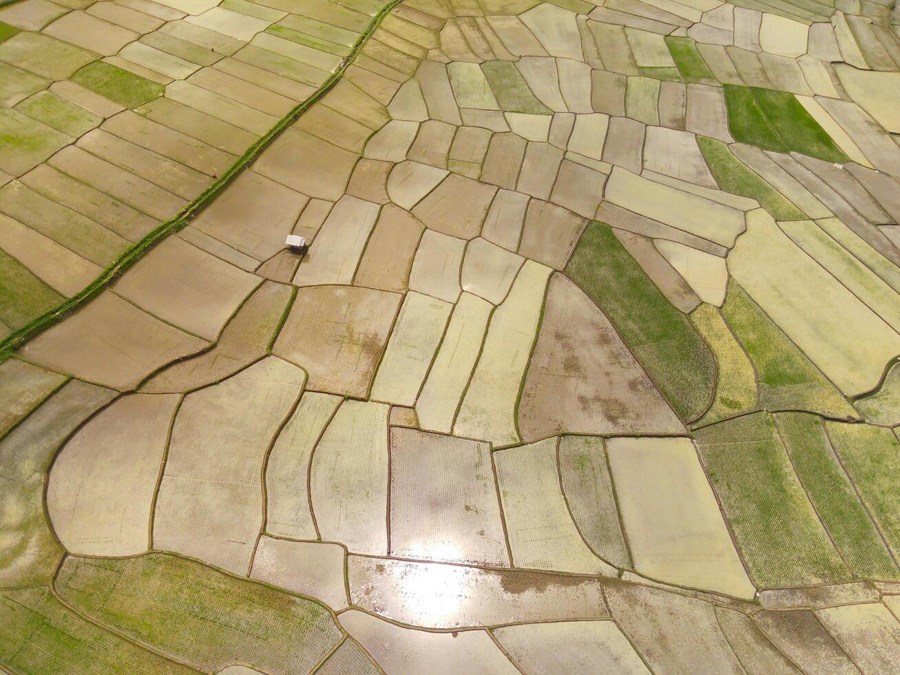 Cikancung rice terraces. Abstract and geometric aerial drone view of Agriculture fields. View from above, tropical green background. Above. Agriculture Industry. Shot from drone flying 100 meters photo
