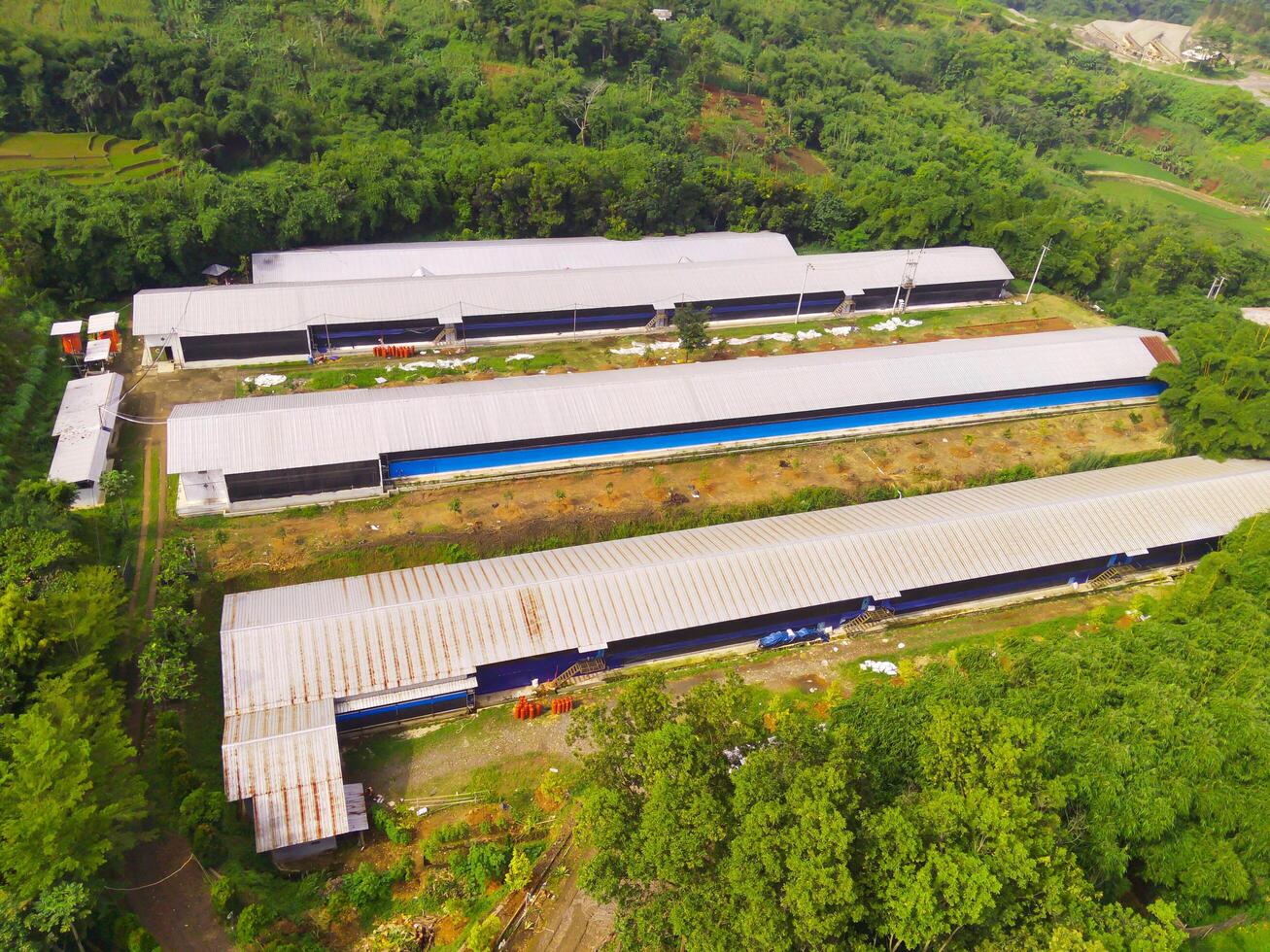 Top view of Corn storage and processing warehouse. Landscape view of the warehouse in the middle of expanse of trees and plantations. Aerial photography. Food industry. Shot from a flying drone photo