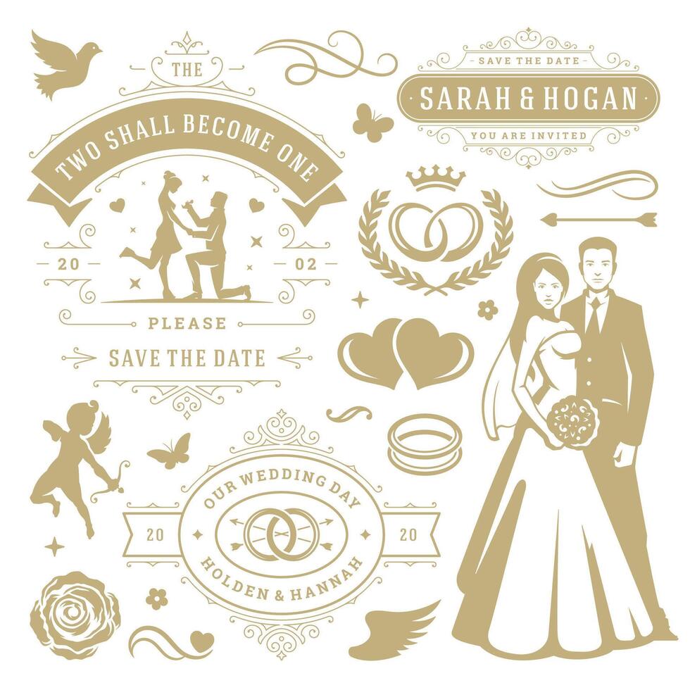 Boda diseño elementos y objetos colocar. vector