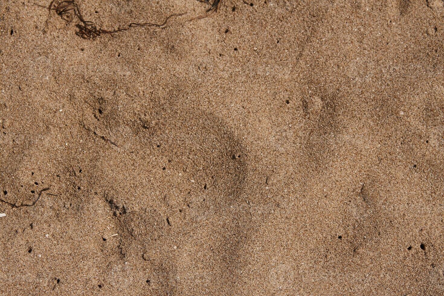 Mediterranenan Sand Texture 4 photo