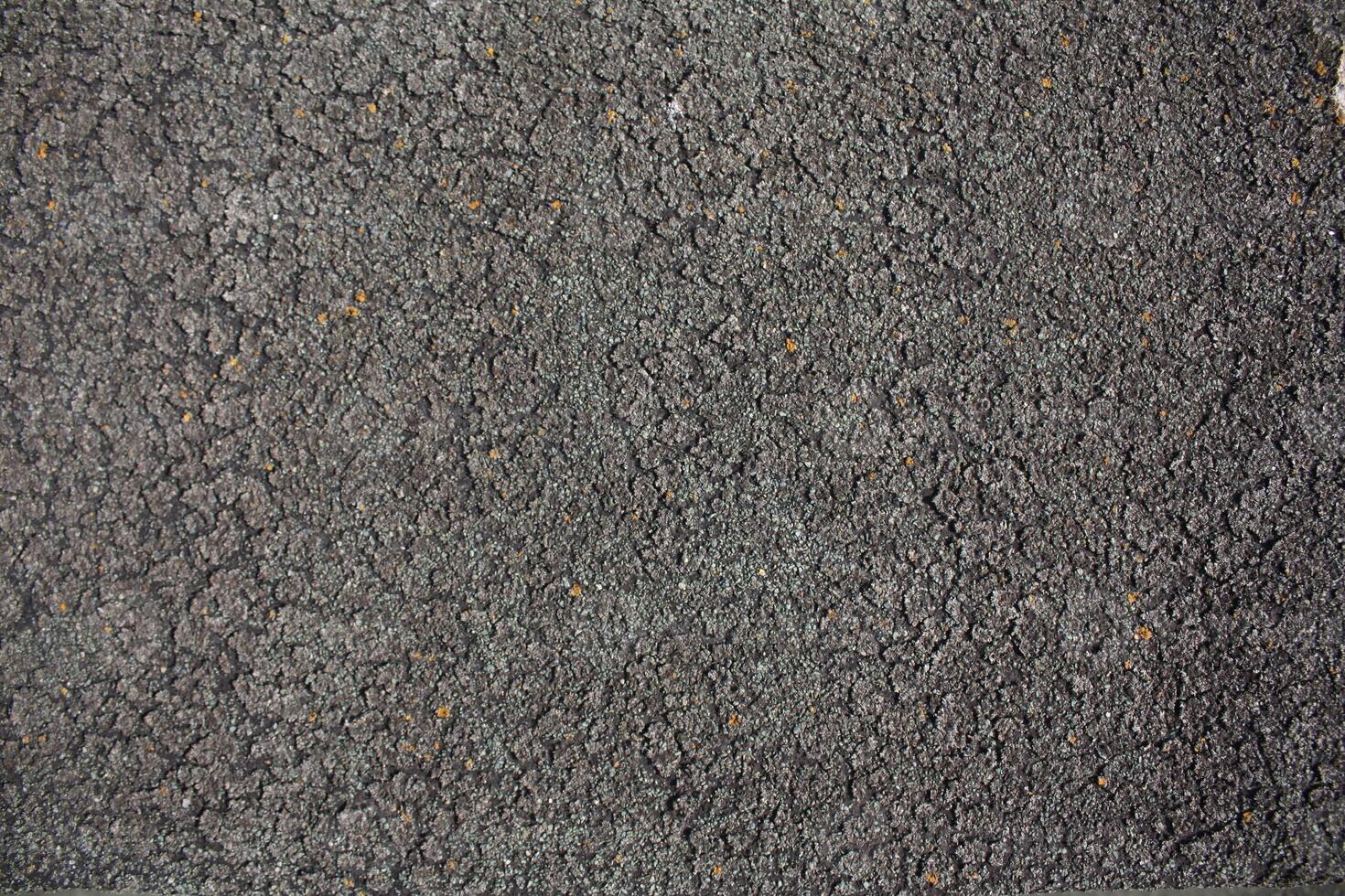 The texture of the roofing material is gray photo