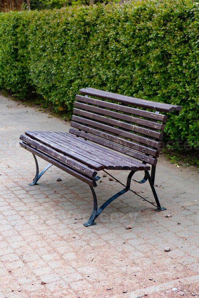 A solitary park bench made of brown wooden slats and metal legs, placed beside a paved path, surrounded by lush green hedges photo