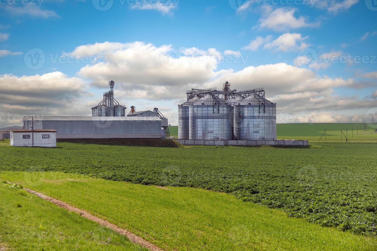 silos on agro-industrial complex with seed cleaning and drying line for grain storage photo