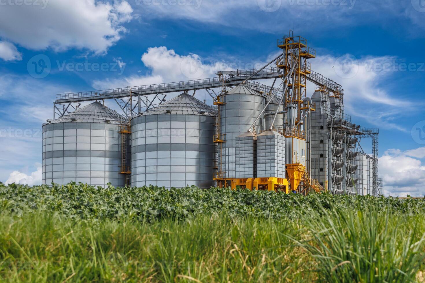 silos on agro-industrial complex with seed cleaning and drying line for grain storage photo