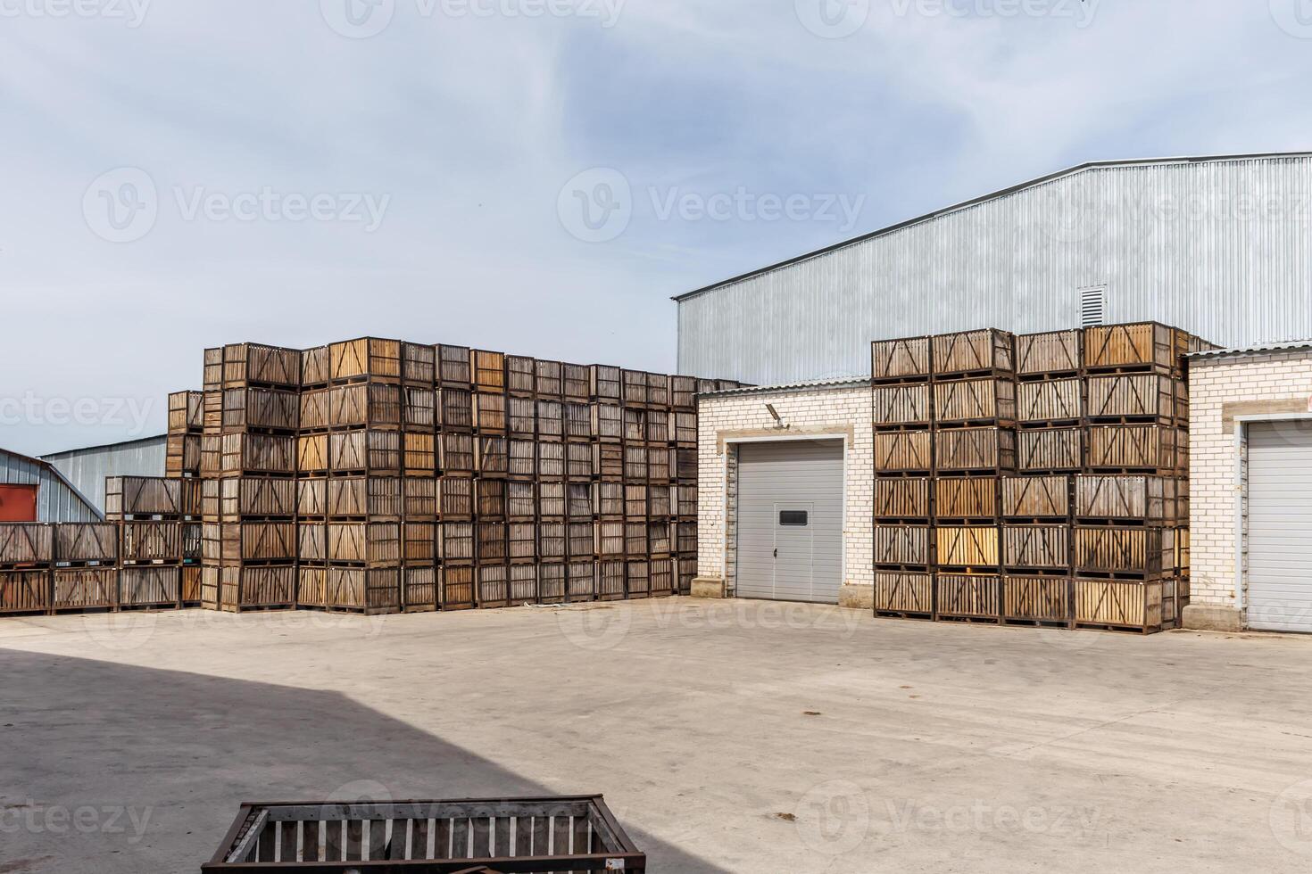 rows of wooden crates boxes and pallets for fruits and vegetables in storage stock on agro processing complex photo