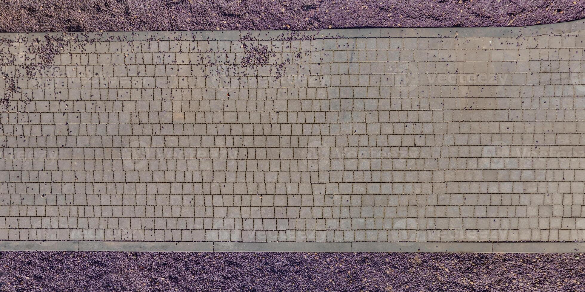 top view of the texture of paving slabs on pedestrian path photo