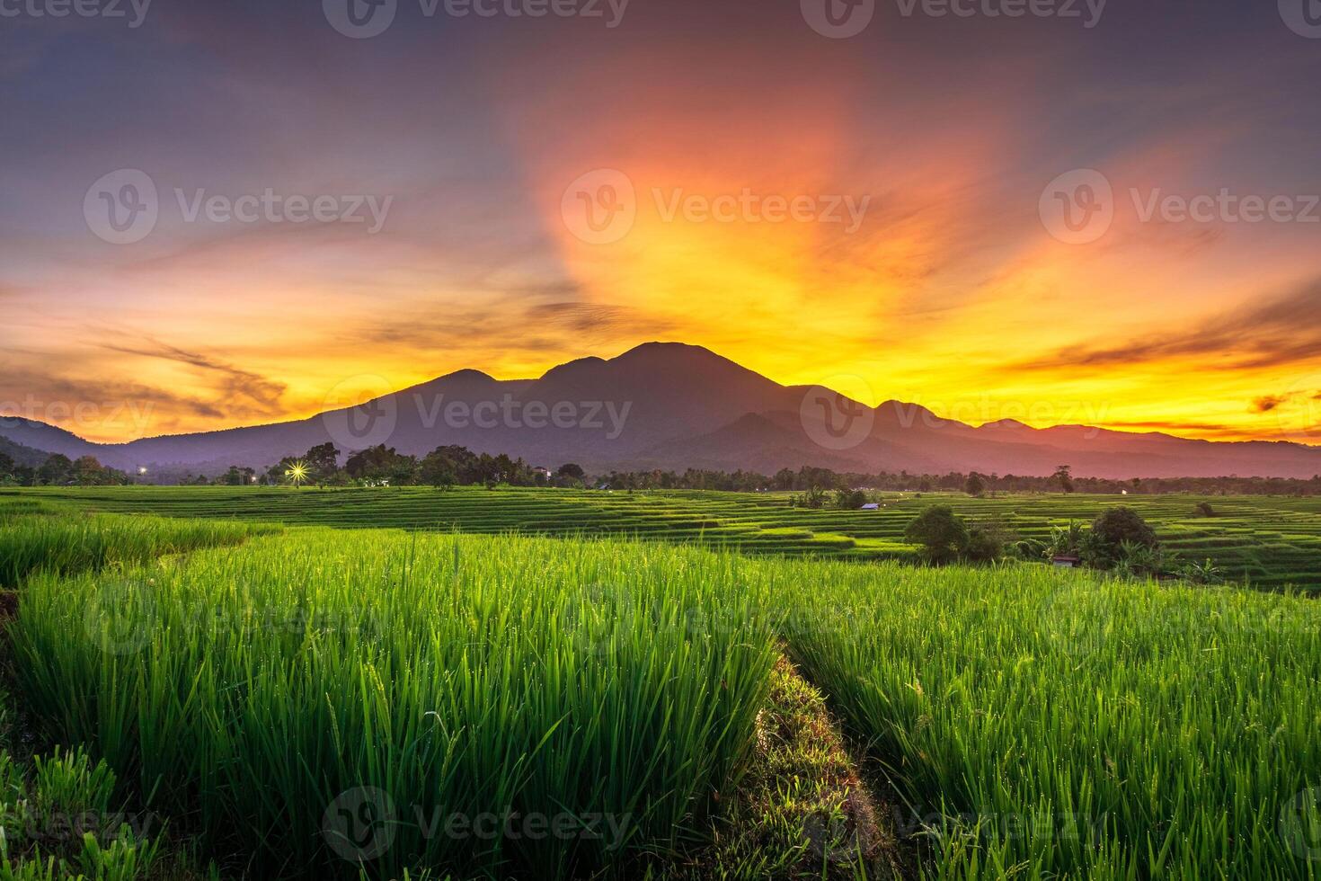 beautiful morning view from Indonesia of mountains and tropical forest photo