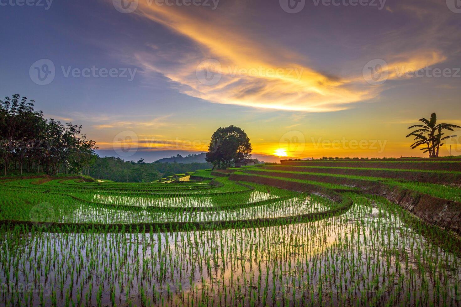 beautiful morning view from Indonesia of mountains and tropical forest photo