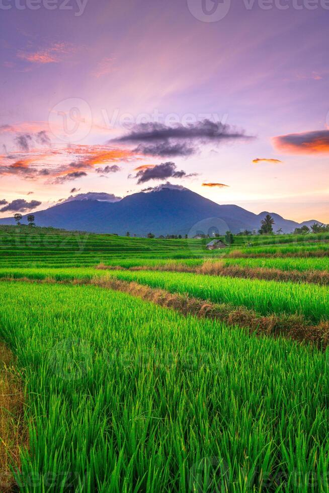 beautiful morning view from Indonesia of mountains and tropical forest photo