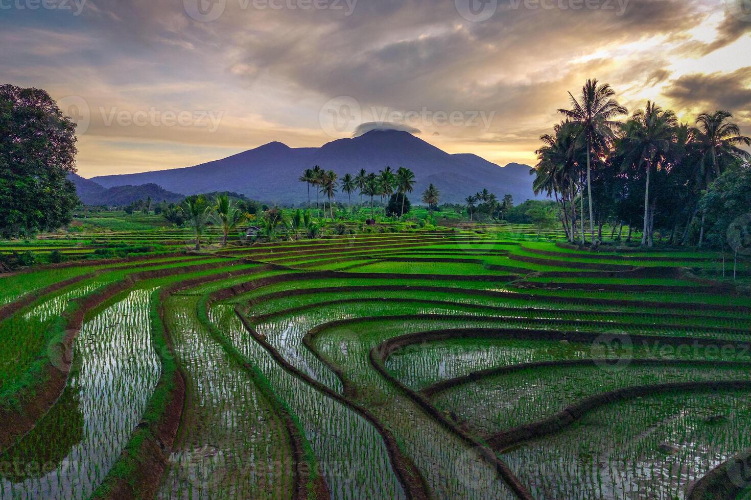 beautiful morning view from Indonesia of mountains and tropical forest photo