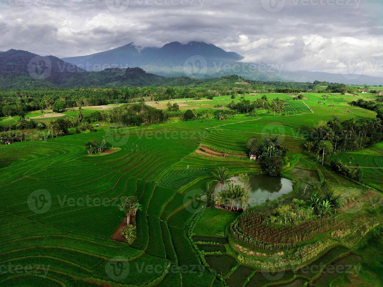 beautiful morning view from Indonesia of mountains and tropical forest photo