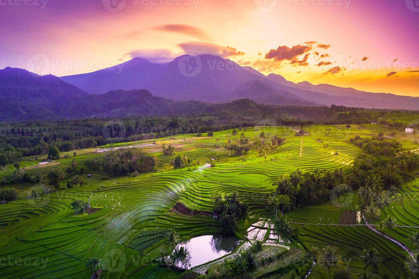 ver de Indonesia en el mañana, verde arroz campos, Dom creciente brillantemente terminado el montaña foto