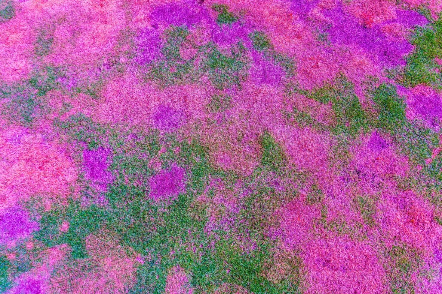 background with colorful abstract Indonesian nature for business photo