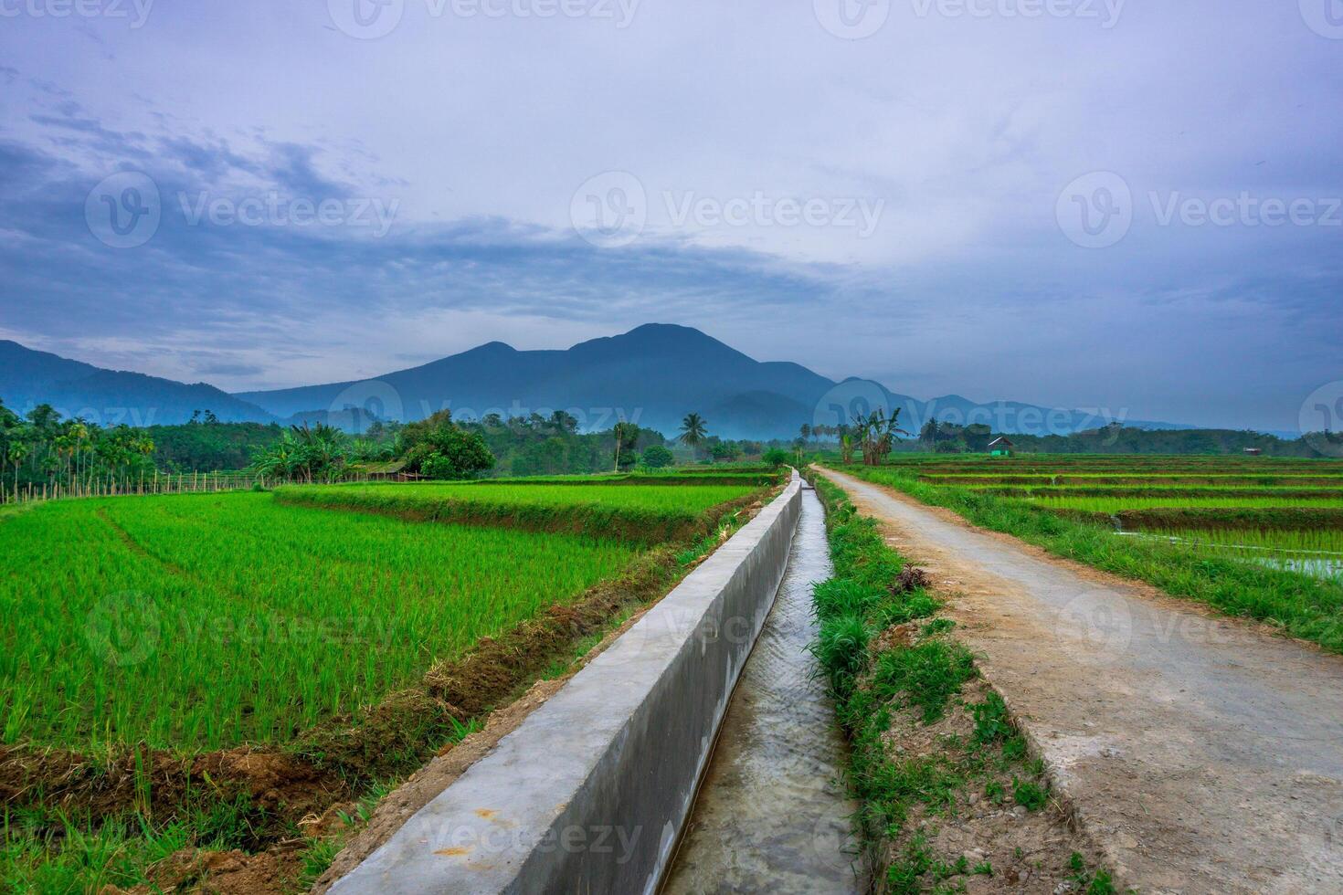 beautiful morning view from Indonesia of mountains and tropical forest photo