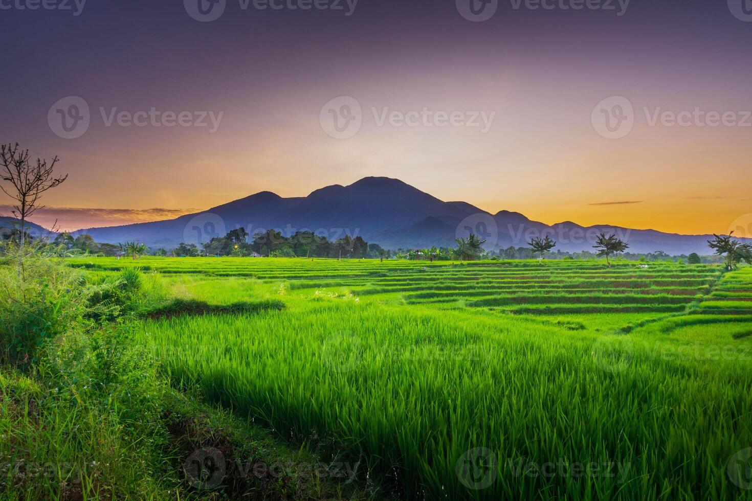 beautiful morning view from Indonesia of mountains and tropical forest photo