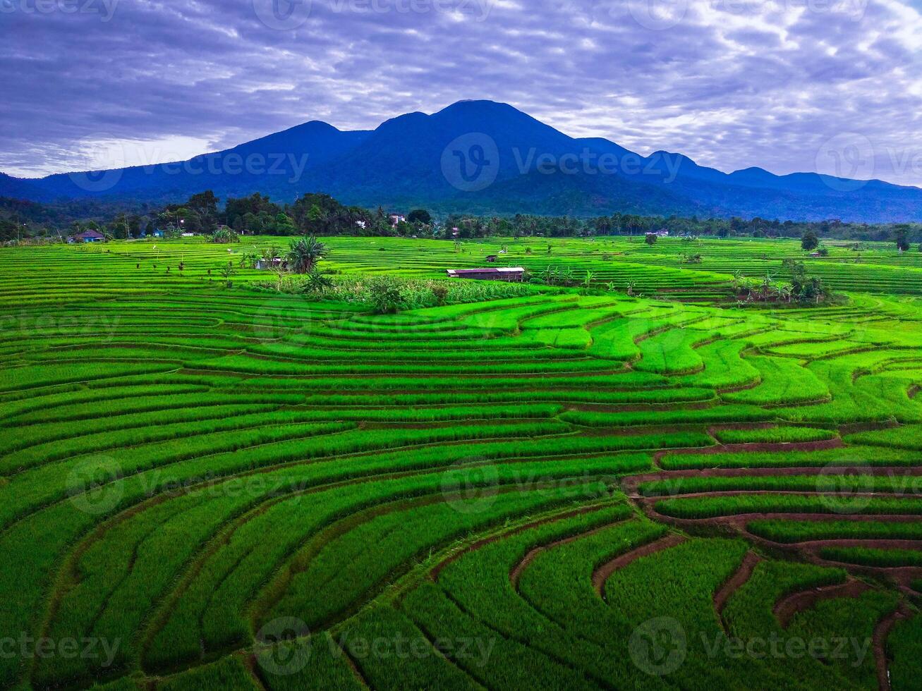 beautiful morning view from Indonesia of mountains and tropical forest photo