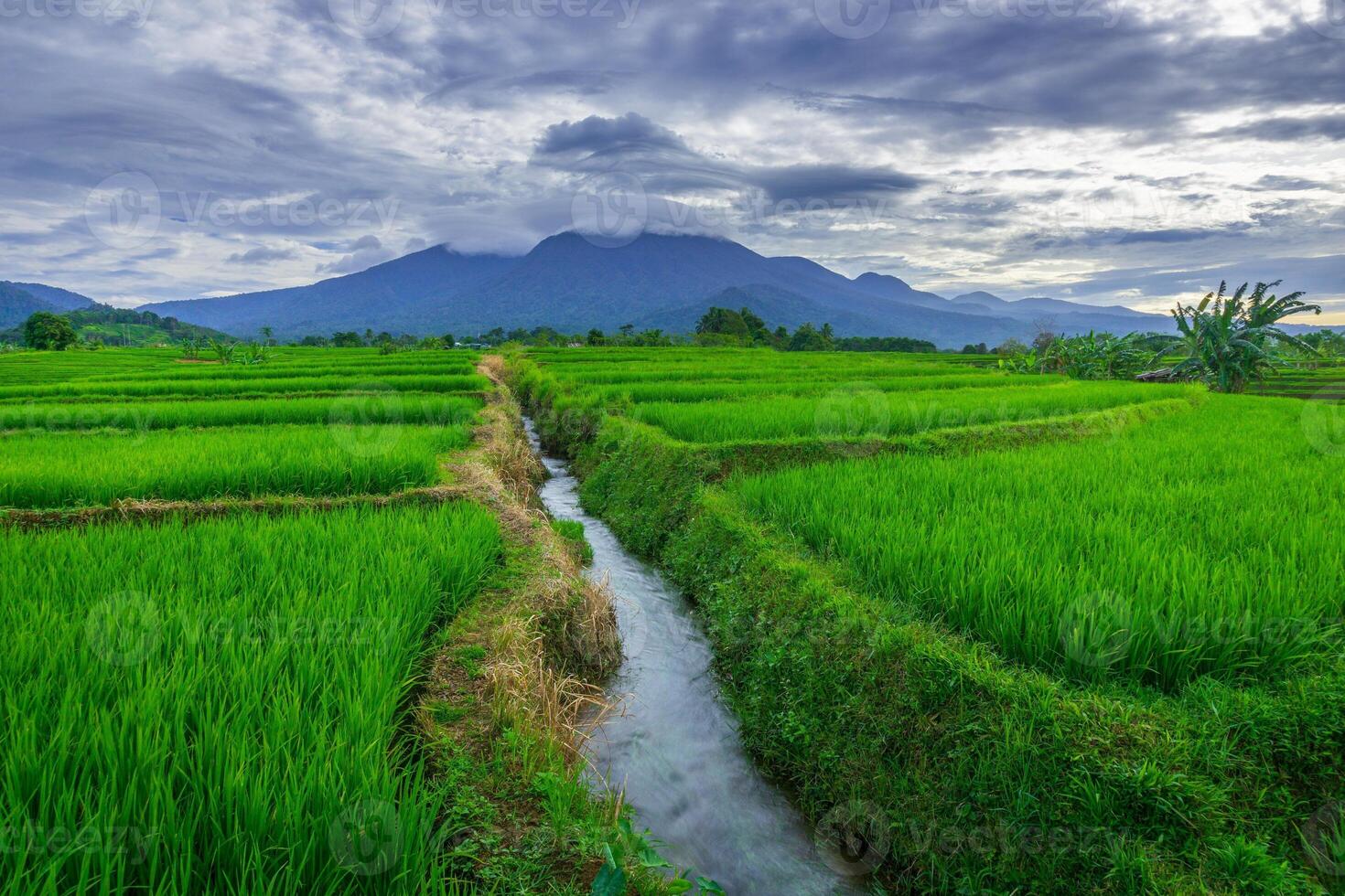beautiful morning view from Indonesia of mountains and tropical forest photo