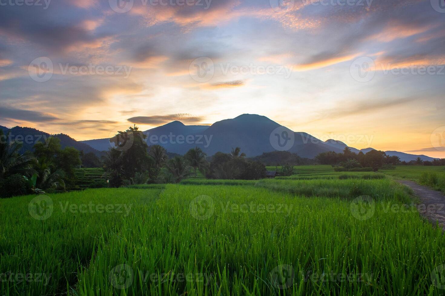 beautiful morning view from Indonesia of mountains and tropical forest photo