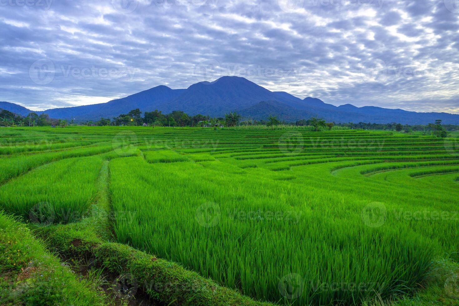 beautiful morning view from Indonesia of mountains and tropical forest photo