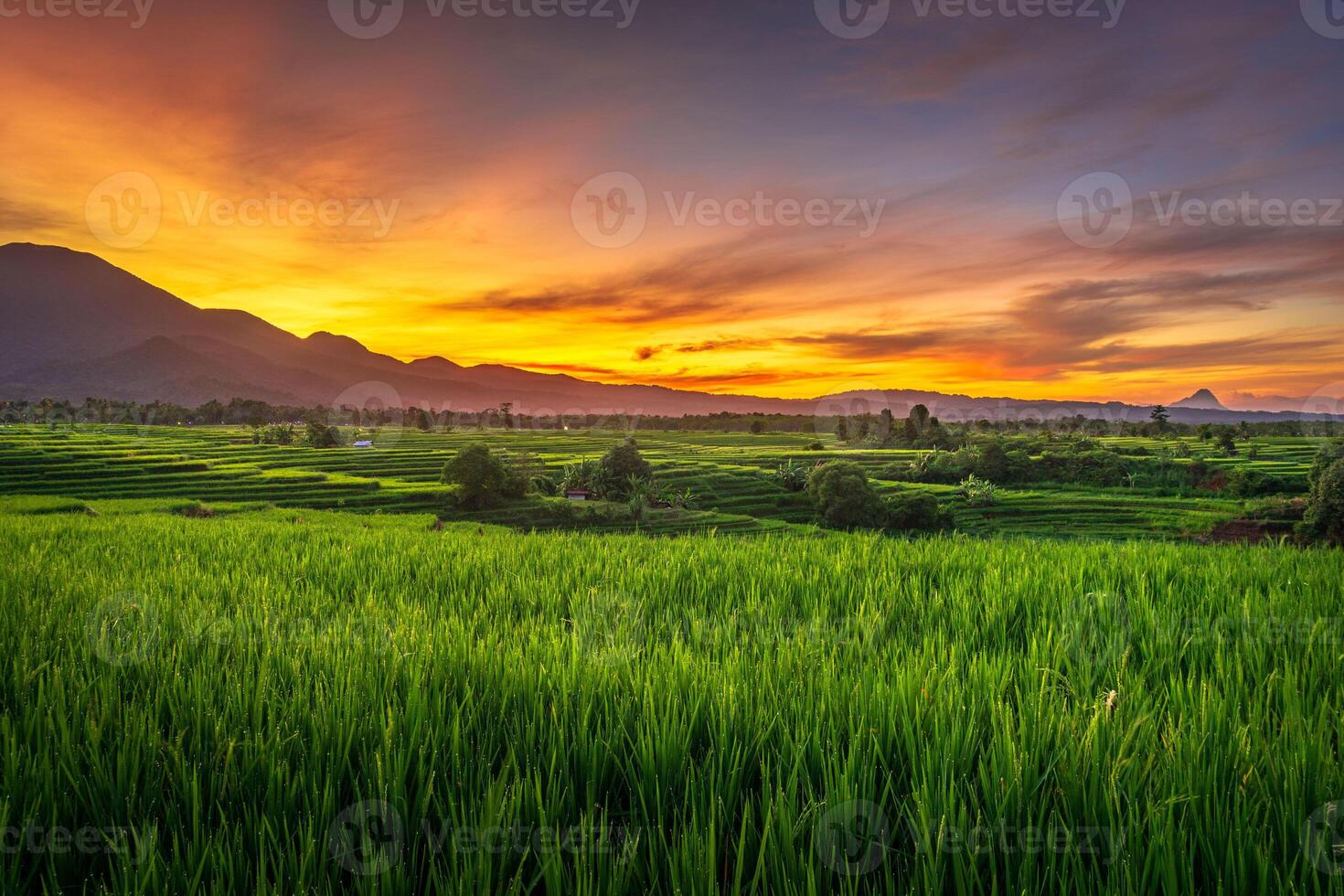 beautiful morning view from Indonesia of mountains and tropical forest photo