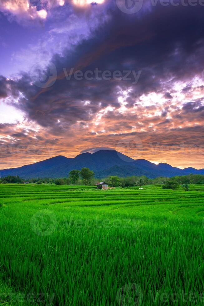 beautiful morning view from Indonesia of mountains and tropical forest photo