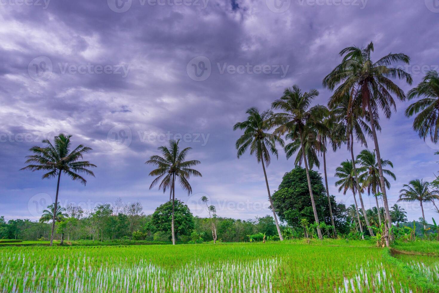beautiful morning view from Indonesia of mountains and tropical forest photo