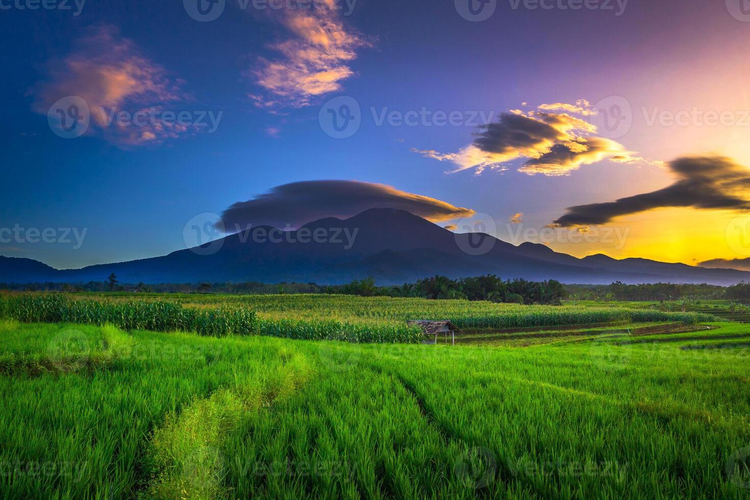 beautiful morning view from Indonesia of mountains and tropical forest photo