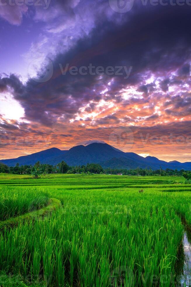 beautiful morning view from Indonesia of mountains and tropical forest photo