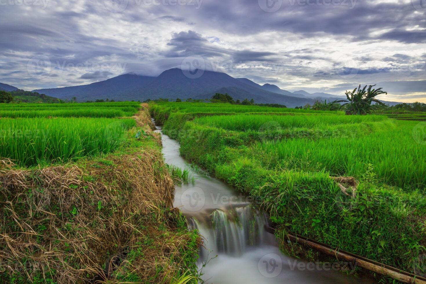 beautiful morning view from Indonesia of mountains and tropical forest photo
