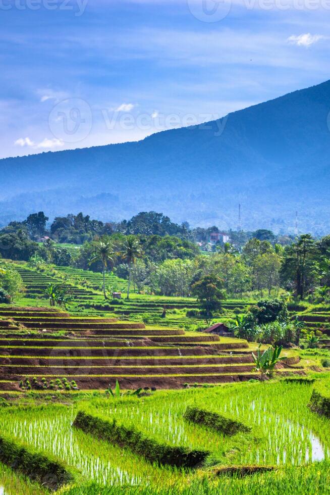 beautiful morning view from Indonesia of mountains and tropical forest photo