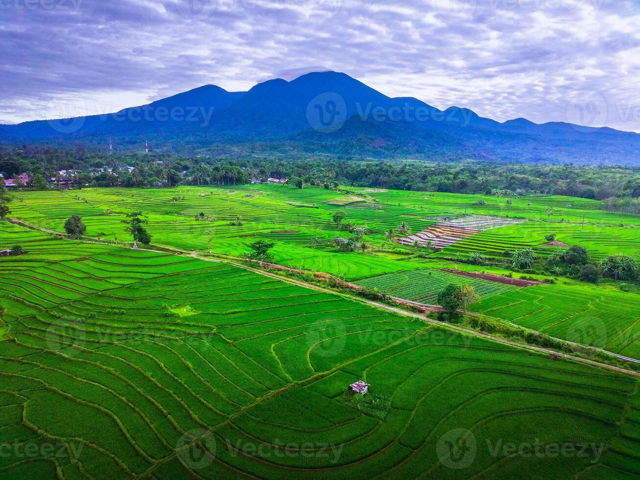 beautiful morning view from Indonesia of mountains and tropical forest photo