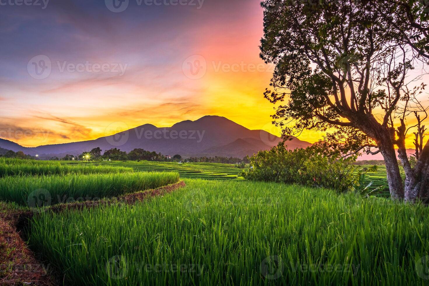 beautiful morning view from Indonesia of mountains and tropical forest photo