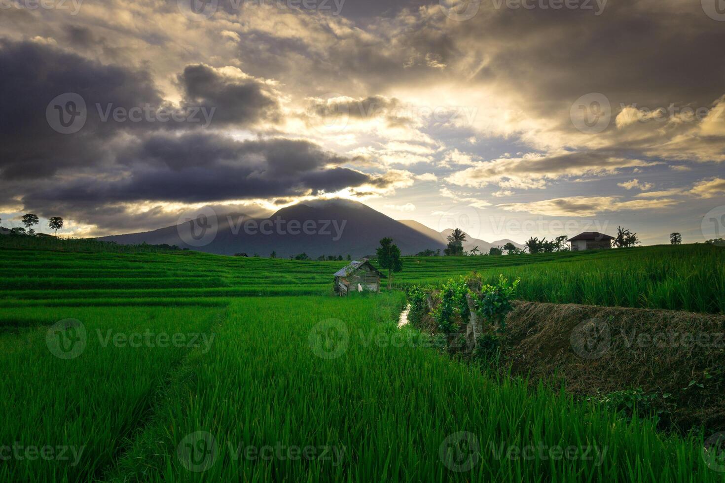 beautiful morning view from Indonesia of mountains and tropical forest photo