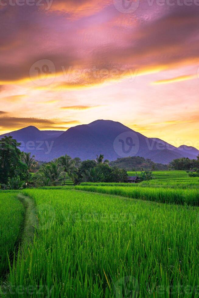 beautiful morning view from Indonesia of mountains and tropical forest photo