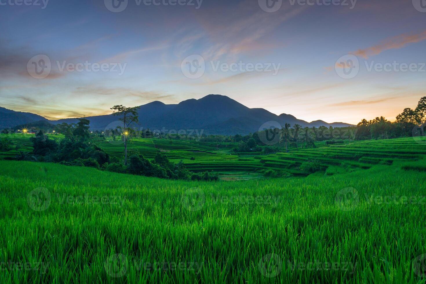 beautiful morning view from Indonesia of mountains and tropical forest photo