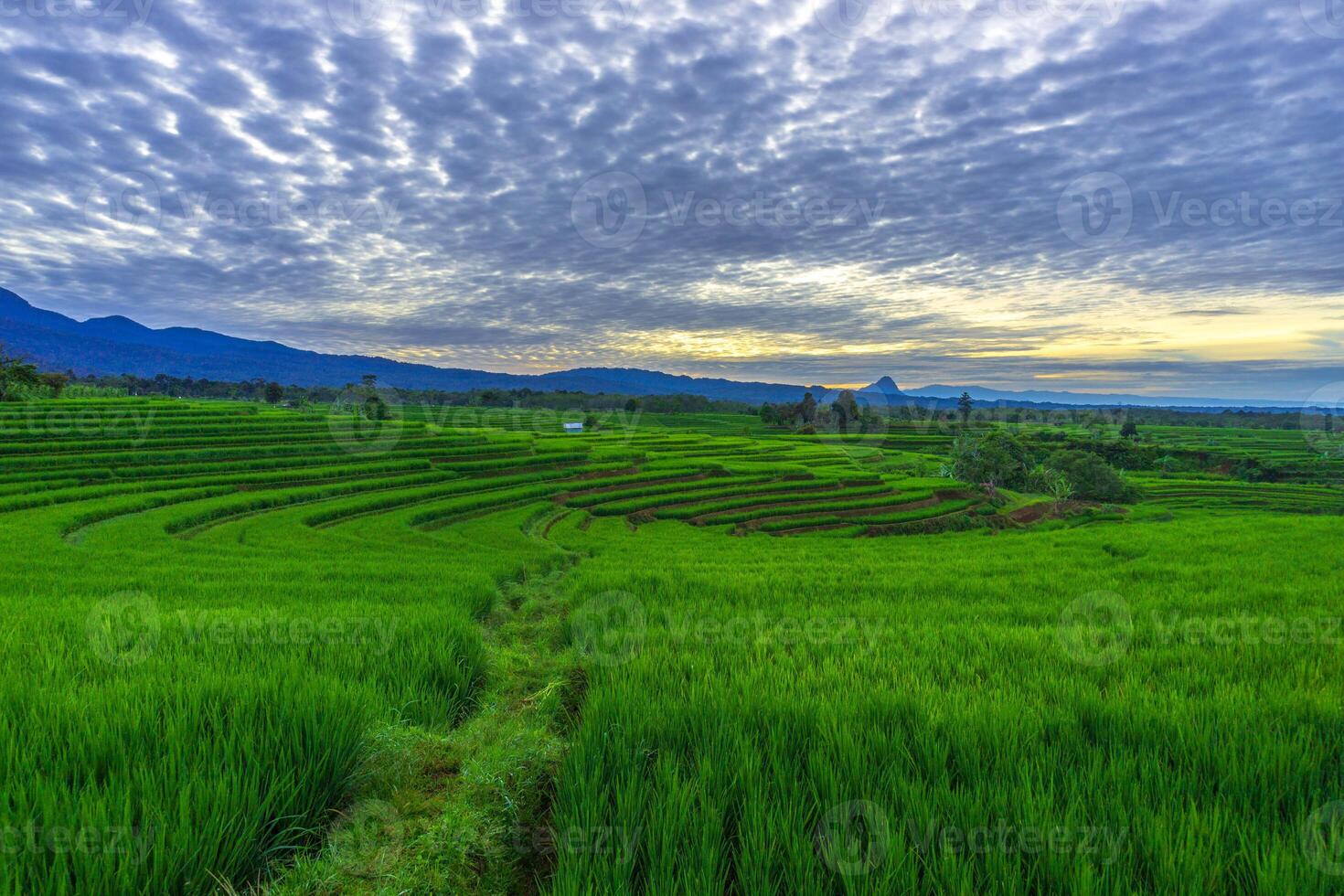 beautiful morning view from Indonesia of mountains and tropical forest photo