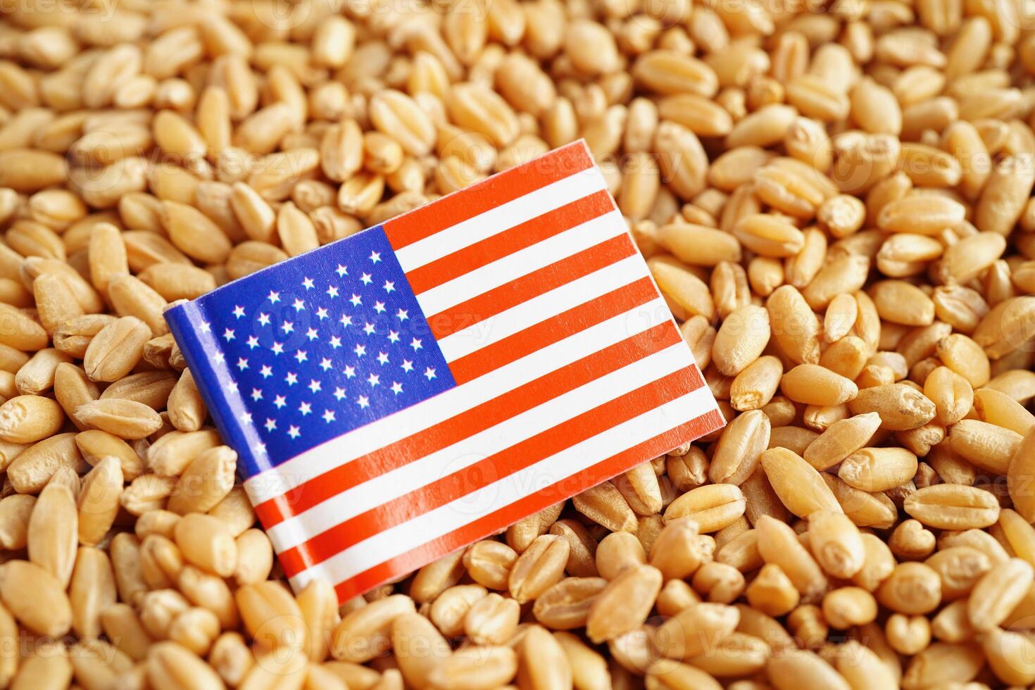 USA America flag on grain wheat, trade export and economy concept. photo