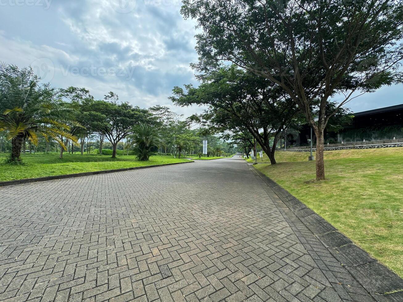 parque y arboles en el lado de el la carretera con un claro cielo foto