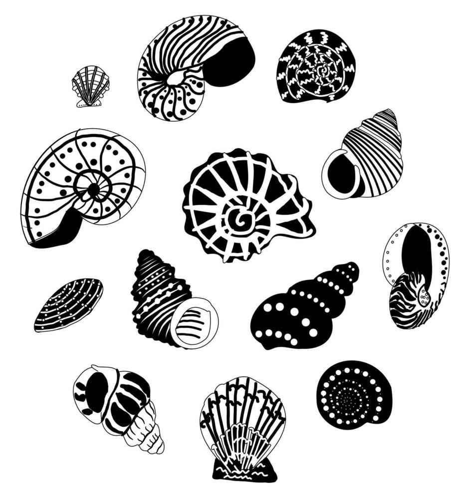 set of shells drawn in a doodle style. Round composition. Collection of black and white shells. vector