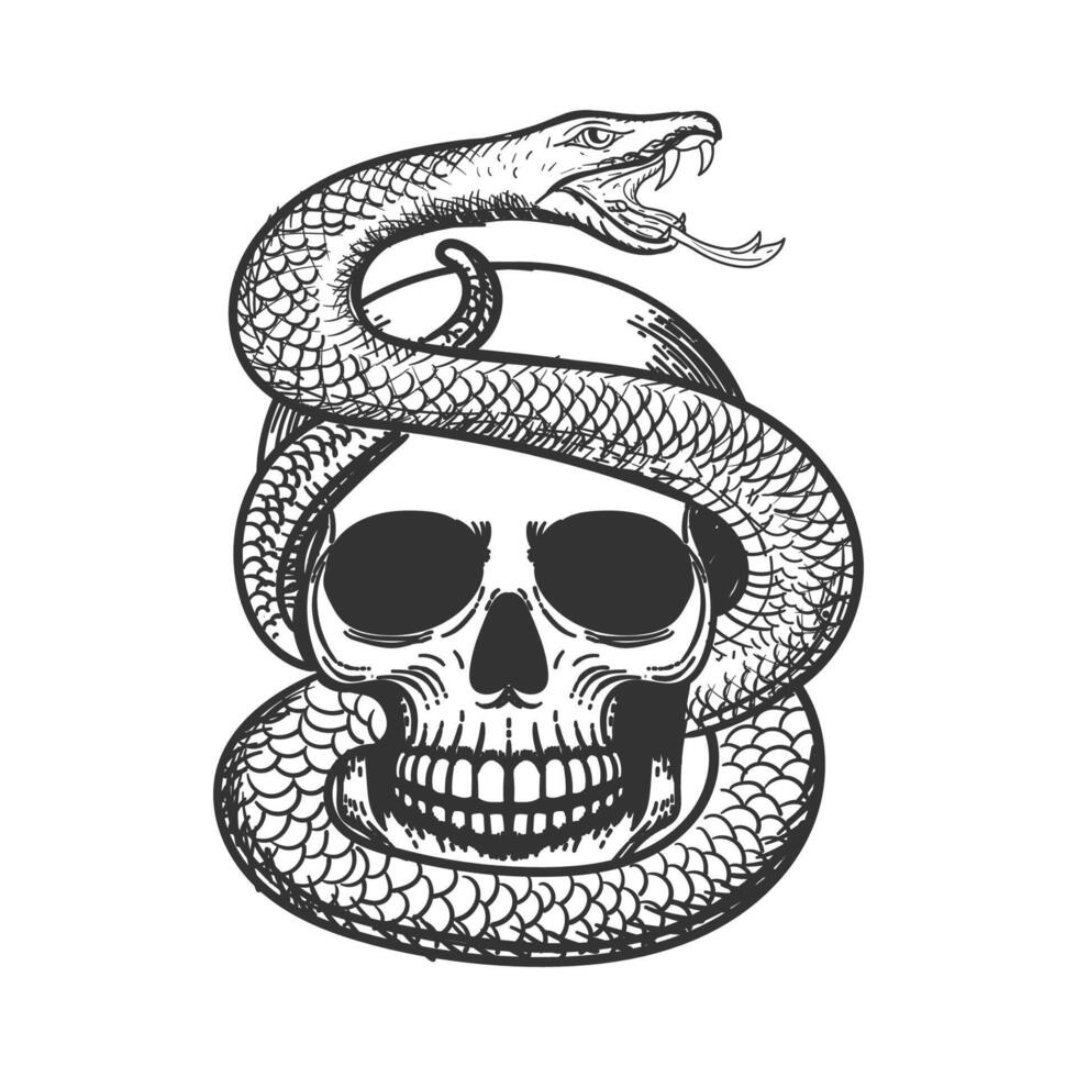 un humano calaveras con venenoso serpiente y en blanco antecedentes ilustración vector