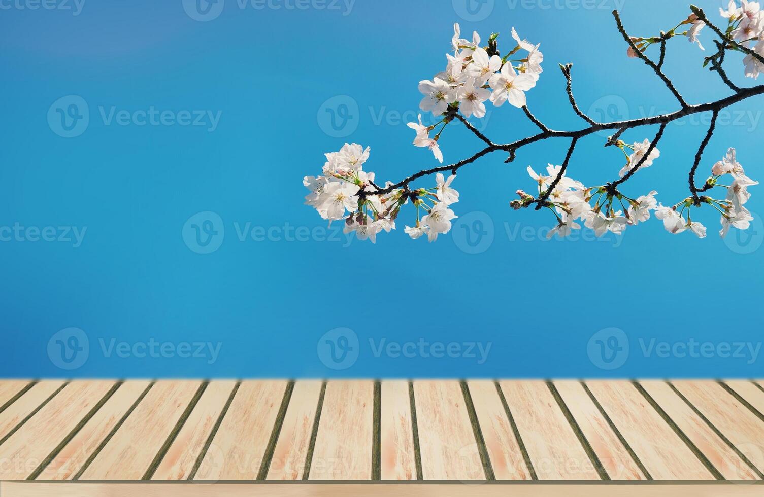 wooden table with cherry blossom background for product display, Japanese Sakura, Spring background photo