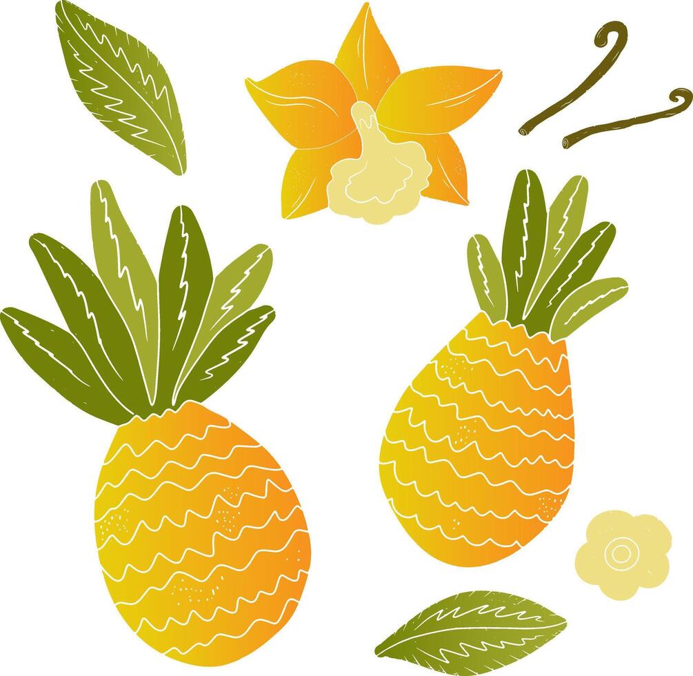 piña acortar Arte vector