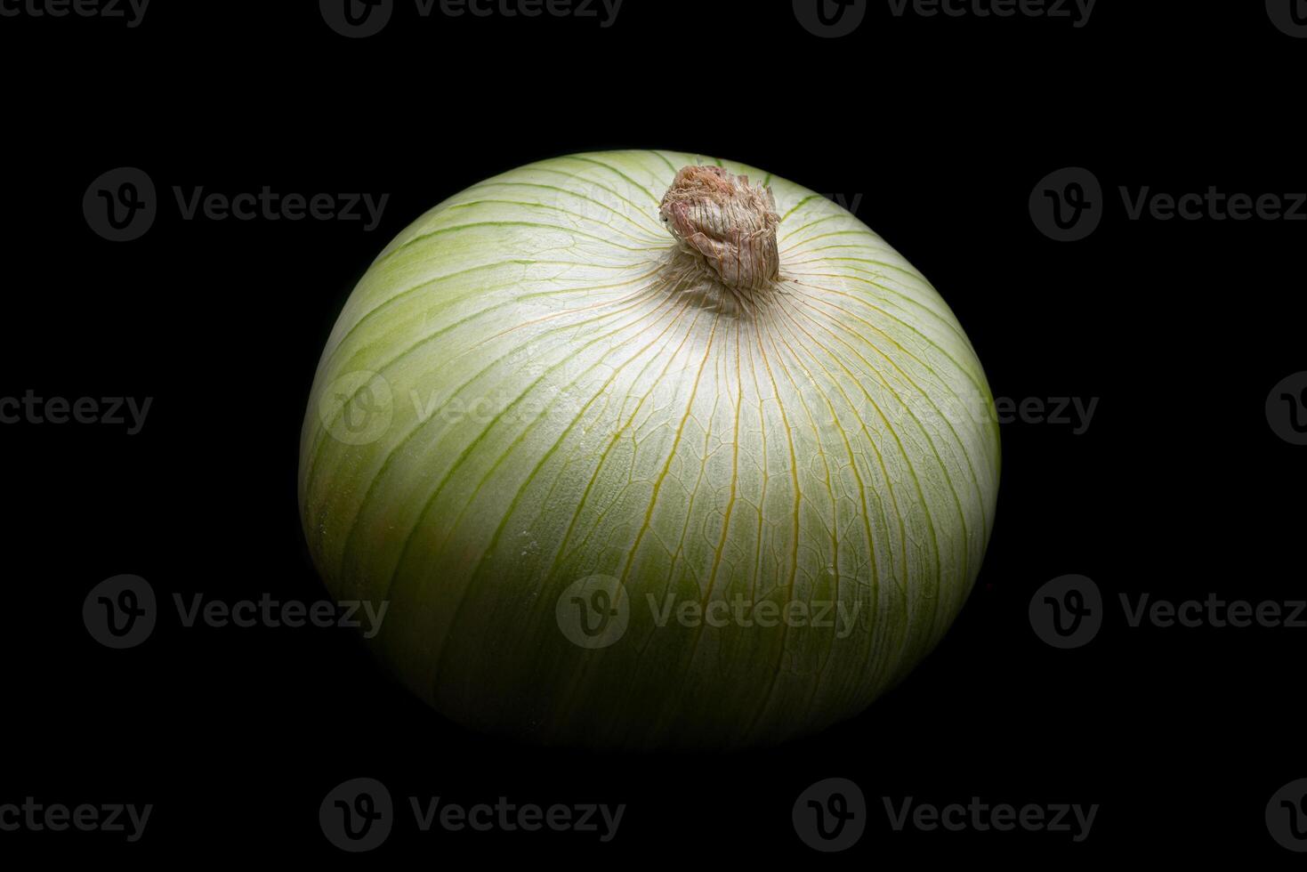 Close up of an unpeeled onion photo