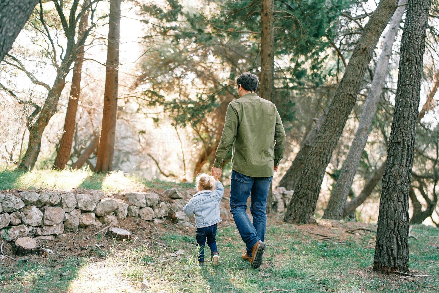 Dad and a little girl walk hand in hand through the forest to the stone fence. Back view photo